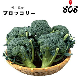 yʁzy쌧YzubR[@1@300gy؋lߍ킹ZbgƓőzy͒Ɍɂĕϓz