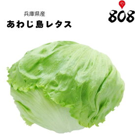 【送料別】【兵庫県産】あわじ島レタス 1玉【野菜詰め合わせセットと同梱で送料無料】【送料は注文後に個数によって変動】
