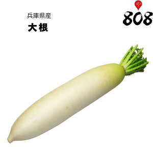 yʁzyɌYẑ卪@1{@1kgy؋lߍ킹ZbgƓőzy͒Ɍɂĕϓz