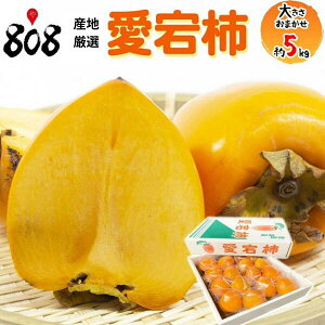 yzyYnIz`@傫C@5kg(kCʓrZ)