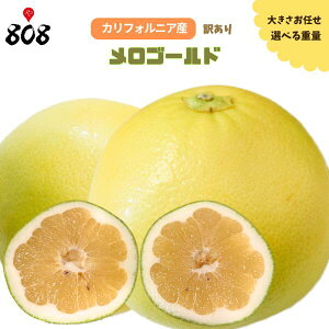 yzyJtHjAYz󂠂 S[h 傫܂ 5kg 10kg 15kg(kCʓrZ)