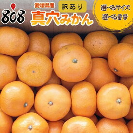 【送料無料】【愛媛県産】訳あり　真穴みかん　真穴シール無　選べるサイズ　1箱　約3kg 約5kg 約10kg(北海道沖縄別途送料加算)