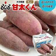 【送料無料】【大分県産】訳あり　甘太くん　選べるサイズ　約1kg 約2kg 約3kg 約4kg 約5kg 約10kg(北海…