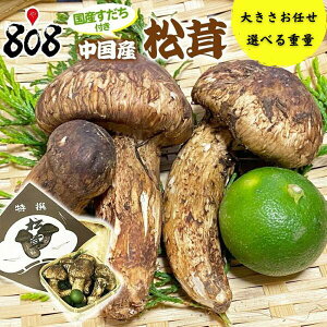 yzyYz pJS Yt 傫܂ 100g@200g@300g@400g@500g(kCʓrZ)