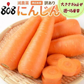 【送料無料】【産地厳選】訳あり　低農薬人参　大きさおまかせ 約5kg 約9~10kg(北海道沖縄別途送料加算)
