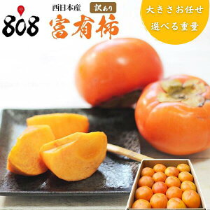 yzy{Yz󂠂@xL`@傫܂@7.5kg 10kg(kCʓrZ)