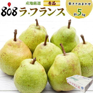 �y���������z�y�Y�n���I�z�G�i�@���t�����X�@�傫�����܂����@��5kg(�k�C������ʓr�������Z)