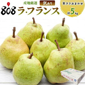 �y���������z�y�Y�n���I�z�󂠂�@���t�����X�@�傫�����܂����@��5kg�@(�k�C������ʓr�������Z)