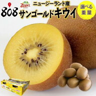 【送料無料】【ニュージーランド産】ゼスプリ　サンゴールドキウイフルーツ　約1kg 約2kg 約3kg(北海道沖…