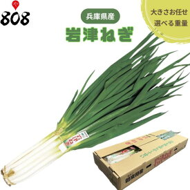 【送料無料】【兵庫県産】岩津ねぎ 大きさおまかせ 約300g 約900g 約1.5kg 約2.4kg 約3kg(北海道沖縄別途送料加算)