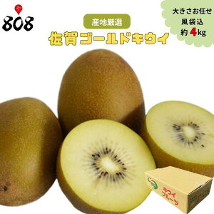 yzyYnIzS[hLECt[c 傫܂ ܍ 4kg(kCʓrZ)