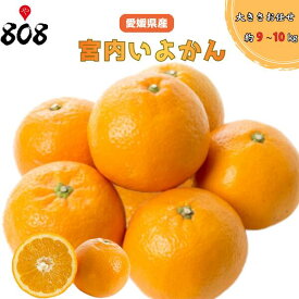 【送料無料】【愛媛県産】宮内いよかん　大きさおまかせ　約9〜10kg(北海道沖縄別途送料加算)