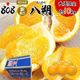 【送料無料】【西日本産】訳あり　八朔　大玉限定　約10kg(北海道沖縄別途送料加算)