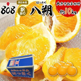 【送料無料】【西日本産】訳あり 八朔　大きさお任せ　約10kg (北海道沖縄別途送料加算)
