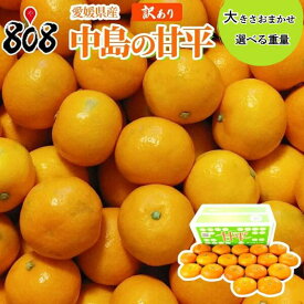 【送料無料】【愛媛県産】訳あり　中島の甘平　大きさお任せ　約1kg 約2kg 約3kg 約4kg 約5kg(北海道沖縄別途送料加算)