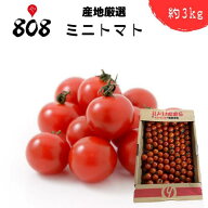 【送料無料】【産地厳選】ミニトマト　大きさお任せ　約3kg（北海道沖縄別途送料加算）