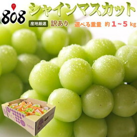 【送料無料】【産地厳選】訳あり　シャインマスカット　大きさお任せ　約1kg 約2kg 約3kg 約4kg 約5kg(北海道沖縄別途送料加算)