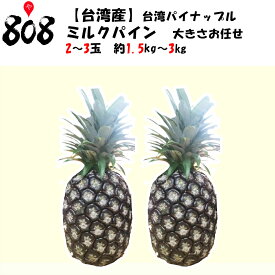 楽天市場 パイナップル 白いの通販