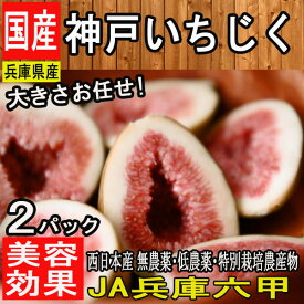 楽天市場 イチジク 産地 都道府県 兵庫 フルーツ 果物 食品 の通販