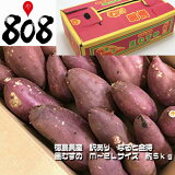 ������̵���ۡڤ����ڡۡ����縩���������ꡡ2019ǯ��ʪ���ʤ�ȶ����Τ�ह�ᡡM��2�̥���������5kg(�̳�ƻ�������������û�)������/�Ƥ���/��ʪ/���Ĥް�/���Ĥޤ���/���ĥޥ���/���ĥް�/�����/�������ȥݥƥ�/��ۻ�/������Ȥ�/��������/���ۻ�