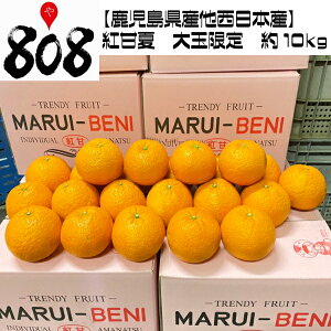 訳あり みかん 送料無料の人気商品 通販 価格比較 価格 Com 訳あり みかん 送料無料の人気商品 通販 価格比較 価格 Com