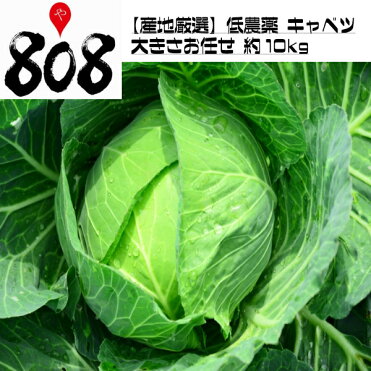 【送料無料】【産地厳選】低農薬 キャベツ 1箱 大きさお任せ 約10kg(北海道沖縄別途送料加算)きゃべつ/千切り/業務/種/苗/やみつきキャベツ/塩だれキャベツ/サラダ/お歳暮/歳暮/サラダ/野菜/葉物野菜/｜ROOM - 欲しい! に出会える。