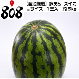 楽天市場 スイカの通販