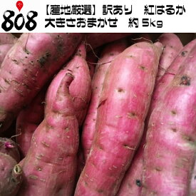 楽天市場 さつまいも 訳ありの通販