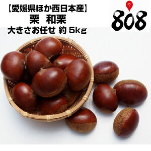秋 栗 甘納豆 甘栗の通販 価格比較 価格 Com