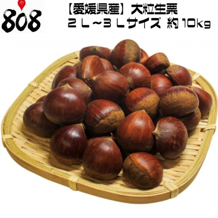 楽天市場】【送料無料】【愛媛県産】大粒生栗 2L〜3Lサイズ 約 