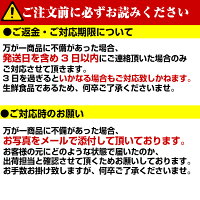 【送料別】【兵庫県産】チンゲン菜1パック約200g【野菜詰め合わせセットと同梱で送料無料】【送料は注文後に個数によって変動】