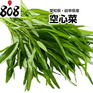 【送料別】【愛知県/岐阜県産】空心菜　くうしんさい 空芯菜 1パック　約100g【野菜詰め合わせセットと同…