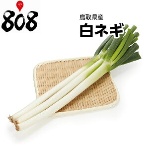 yʁzy挧YzlM@1@300gy؋lߍ킹ZbgƓőzy͒Ɍɂĕϓz