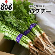 【送料別】【岡山/静岡県産】パクチー コリアンダー 香菜　1束100g【野菜詰め合わせセットと同梱で送料無…