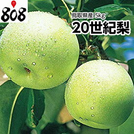楽天市場 二十世紀梨の通販