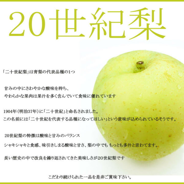 楽天市場 送料無料 産地厳選 秀品 世紀梨 大きさおまかせ 約5kg 北海道沖縄別途送料加算 808青果店 楽天市場 送料無料 産地厳選 秀品 世紀梨 大きさおまかせ 約5kg 北海道沖縄別途送料加算 808青果店