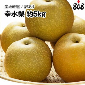 楽天市場 和梨 産地 都道府県 和歌山 フルーツ 果物 食品 の通販