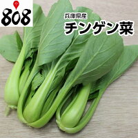 【送料別】【兵庫県産】チンゲン菜1パック約200g【野菜詰め合わせセットと同梱で送料無料】【送料は注文後に個数によって変動】