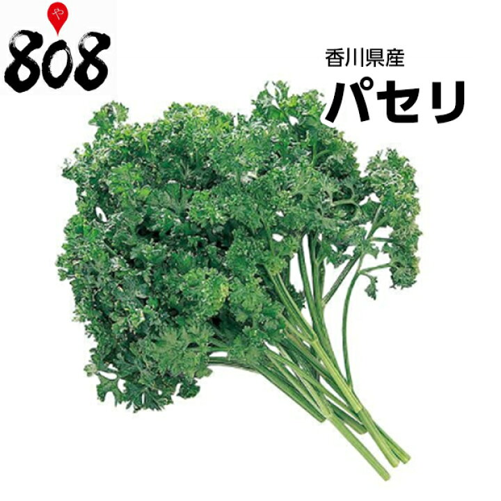 楽天市場 クール便送料別 西日本産 パセリ 1パック 約0g 野菜詰め合わせセットと同梱で送料無料 送料は注文後に個数によって変動 808青果店