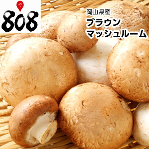 yʁzyRYzuE}bV[ 1pbNy؋lߍ킹ZbgƓőzy͒Ɍɂĕϓz