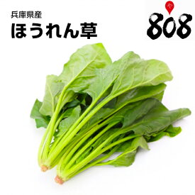 【送料別】【兵庫県/徳島県産】ほうれん草　1束　約200g【野菜詰め合わせセットと同梱で送料無料】【送料は注文後に個数によって変動】