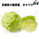 【送料別】【兵庫県/大阪府産】キャベツ 1個 約1.5kg【野菜詰め合わせセットと同梱で送料無料】【送料は注文後に個数…