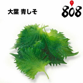 【送料別】【愛知県産】大葉 青しそ あおじそ Lサイズ 1パック 約100g 100枚入【野菜詰め合わせセットと同梱で送料無料】【送料は注文後に個数によって変動】