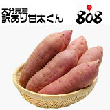 ������̵���ۡ���ʬ�����۴������������ꡡ�礭�����ޤ�������10kg(�̳�ƻ�������������û�)���󤿤���/̪��/�ư�/�Ƥ���/��ʪ/���Ĥް�/���Ĥޤ���/���ĥޥ���/���ĥް�/�����/�������ȥݥƥ�/��ۻ�/������Ȥ�/��ͭ/������/������/����/