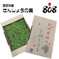 【送料無料】【西日本産】実山椒　山椒の実　1箱　約460〜500g(北海道沖縄別途送料加算)