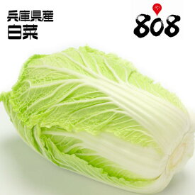 【兵庫県産】白菜　1個　約2kg【野菜詰め合わせセットと同梱で送料無料】【送料別】/敬老の日/お歳暮/歳暮/野菜/葉物野菜/新鮮/豚バラと白菜の重ね鍋/ハクサイ/やみつき白菜サラダ/キムチ/スープ/ベーコン/炒め