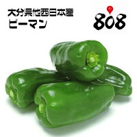 ������̵���ۡ������ܻ��������� �ԡ��ޥ� 1Ȣ ��4.5kg(�̳�ƻ�������������û�)��ͭ/������/������/�辰����/��Ϸ����/������/�ԡ��ޥ�����ͤ�/����/�渵/���渵/������/����/���ʼ�/�ԡ��ޤ�/