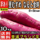  さつまいも お菓子 芋けんぴ ケンピ… 468円 美味しさは元気の源 【自然の館】 |
![
