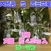 ������̵���ۡ������ܻ��������� �ԡ��ޥ� 1Ȣ ��4.5kg(�̳�ƻ�������������û�)��ͭ/������/������/�辰����/��Ϸ����/������/�ԡ��ޥ�����ͤ�/����/�渵/���渵/������/����/���ʼ�/�ԡ��ޤ�/