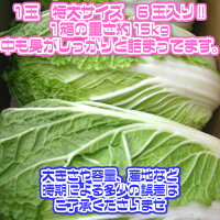 ������̵���ۡڻ��ϸ�����������1Ȣ6��������15kg(�̳�ƻ�������������û�)�Ϥ�����/�����/��ʪ/��Ϸ����/�����/��ʪ/������/����/�����/